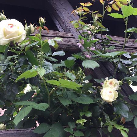 B&B Le Lodge Bourgheim 外观 照片