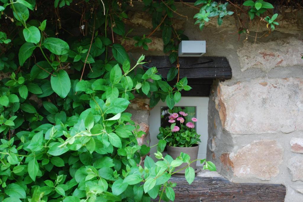 B&B Le Lodge Bourgheim 外观 照片